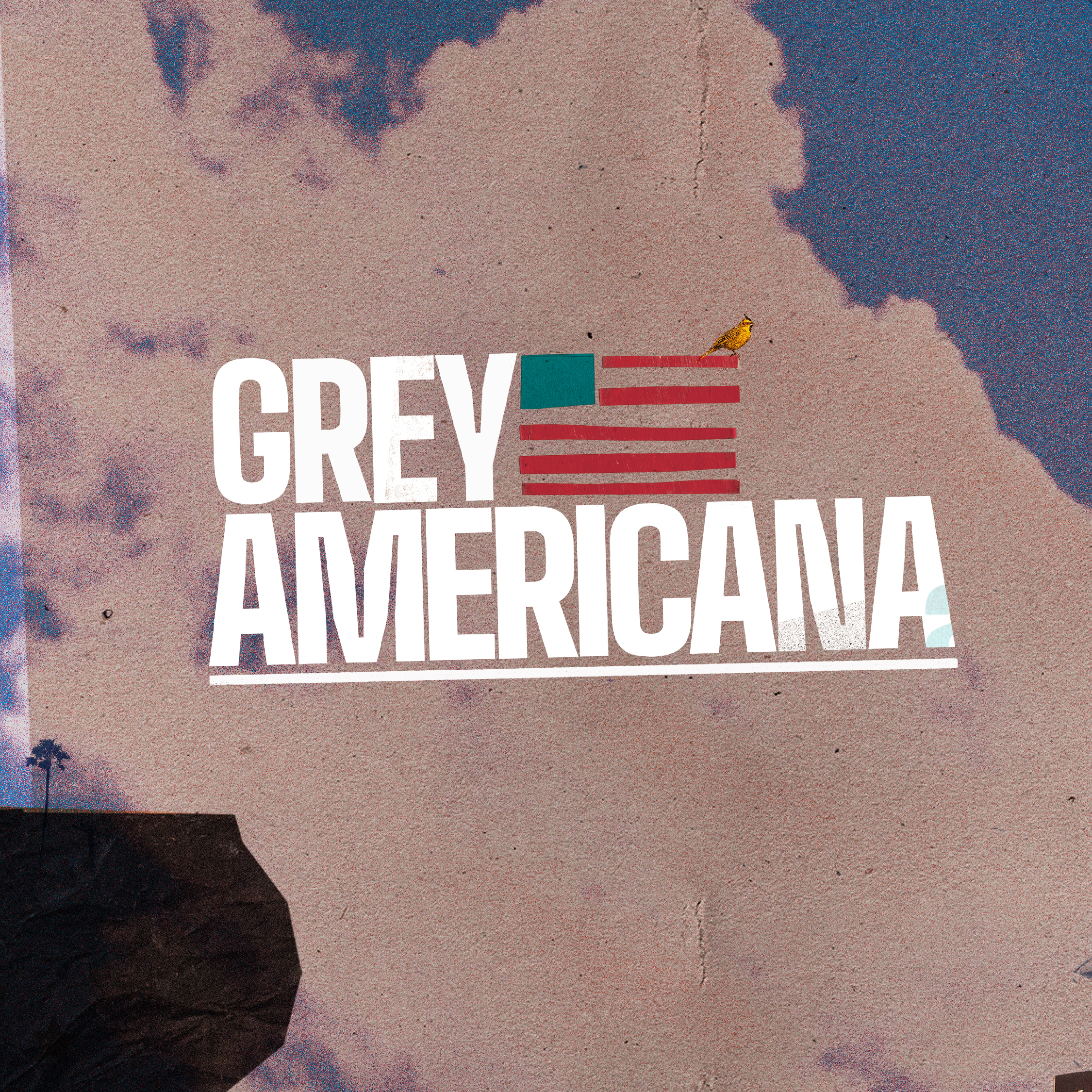 Grey Americana